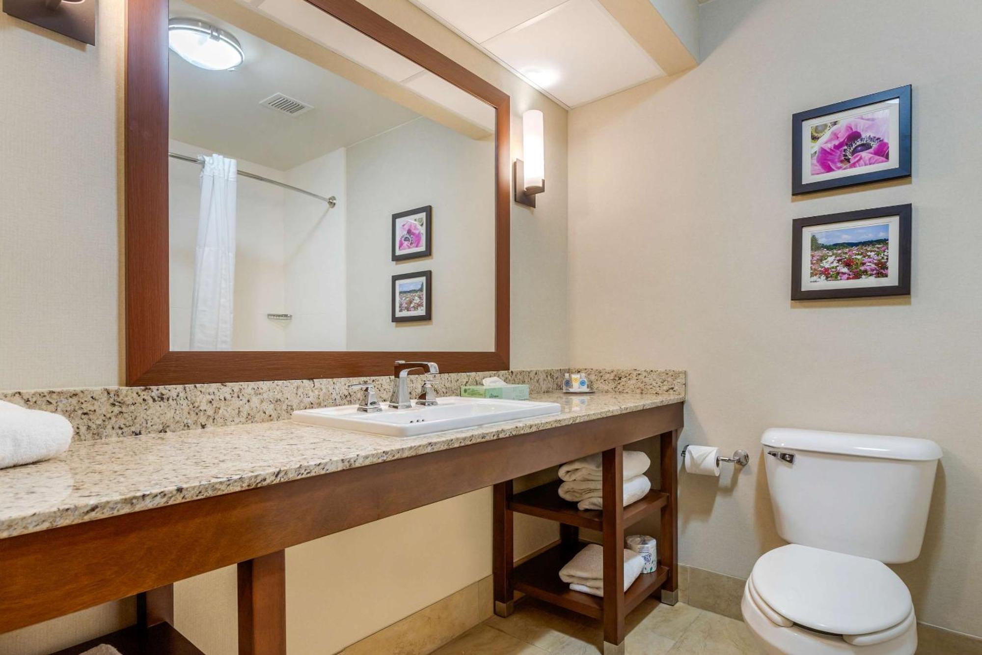 Comfort Suites Gastonia - Charlotte Esterno foto